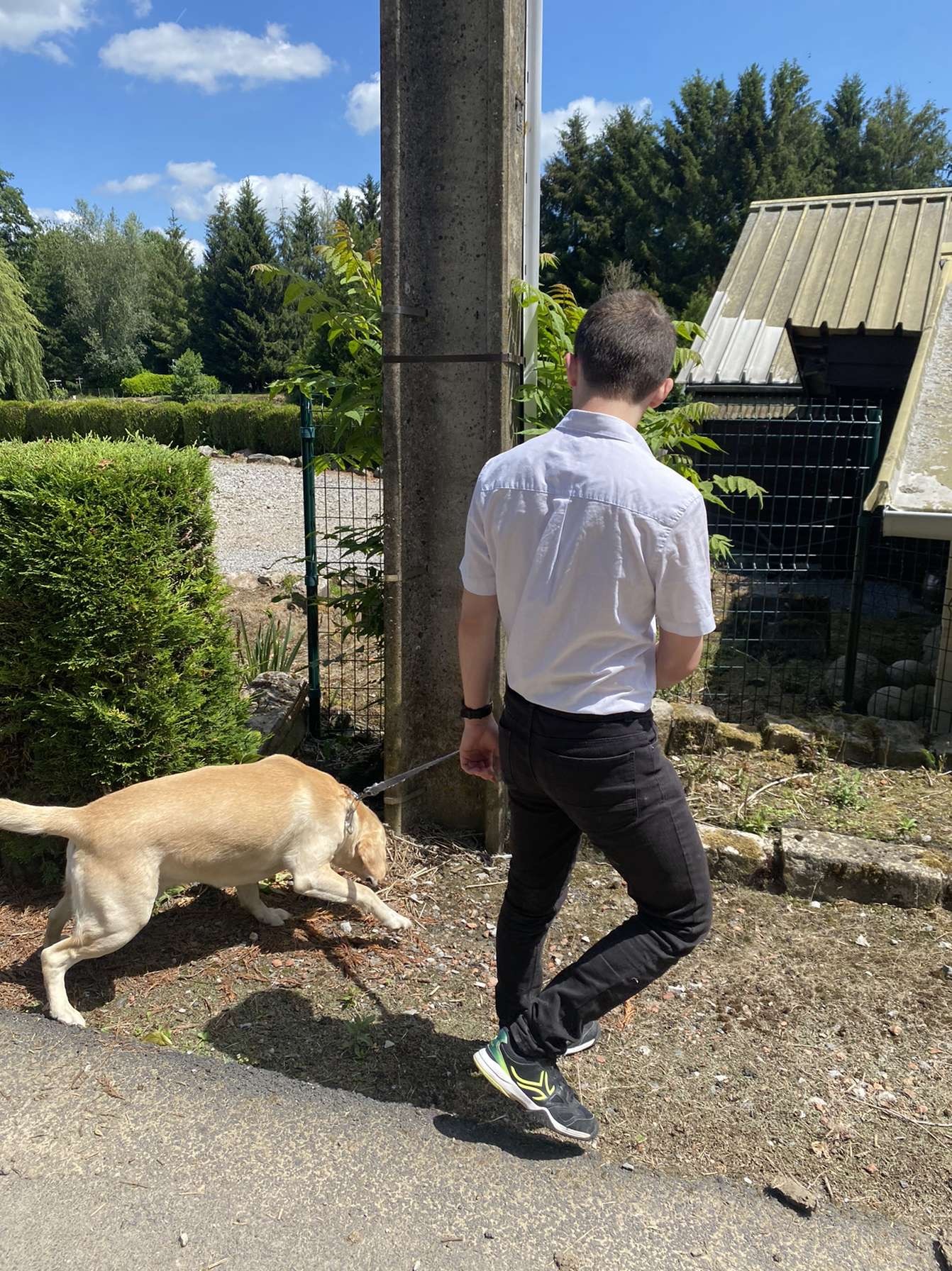 Profil de Zino, 21 ans, Sex à Rümligen