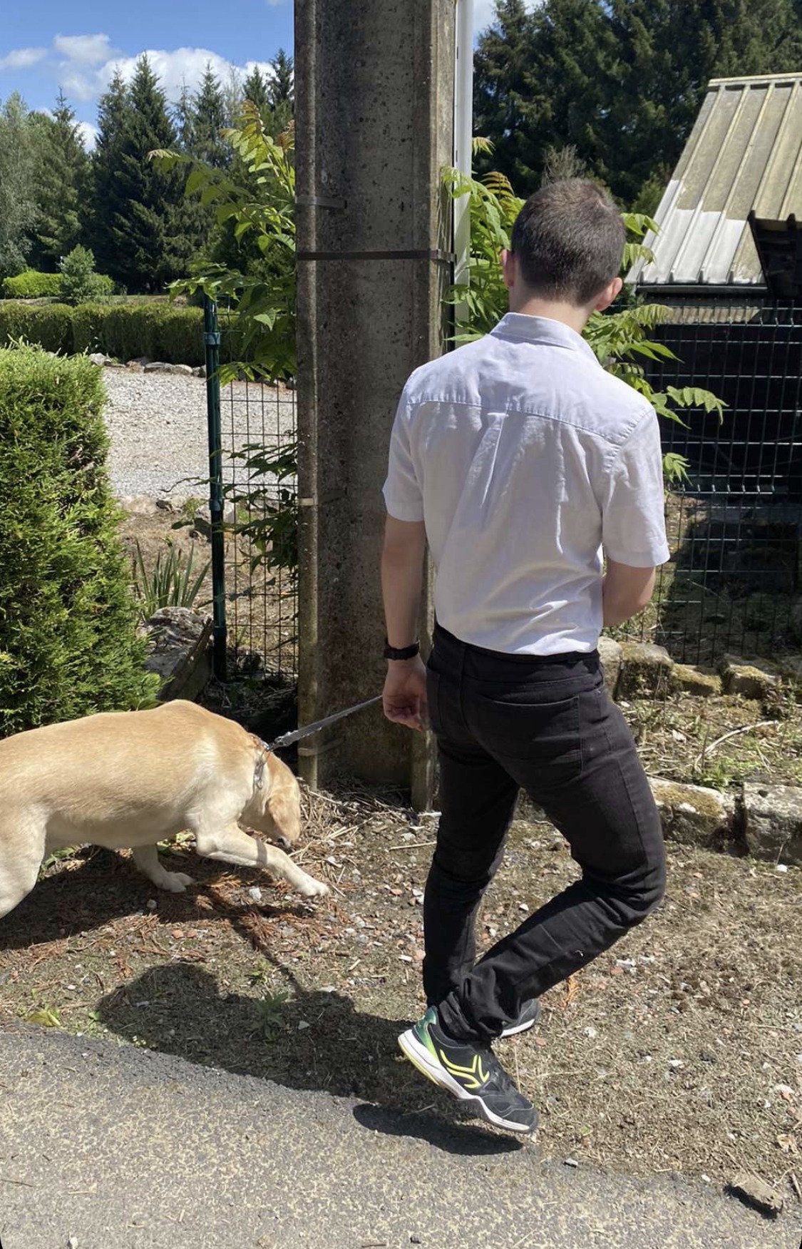 Profil de Wayne, 21 ans, Sex à Sachseln